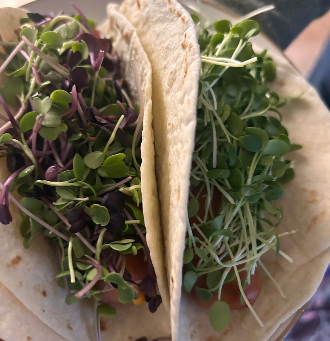 How to eat microgreens - Yummy Little Plants